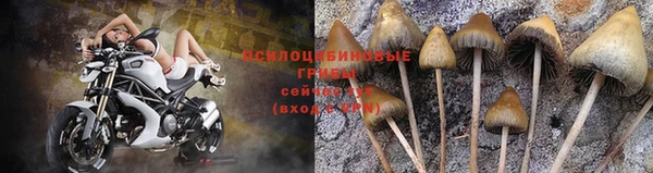 spice Лиски