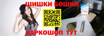 индика Тула