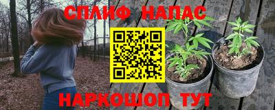индика Тула