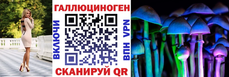 закладки  Слободской  Псилоцибиновые грибы мухоморы 