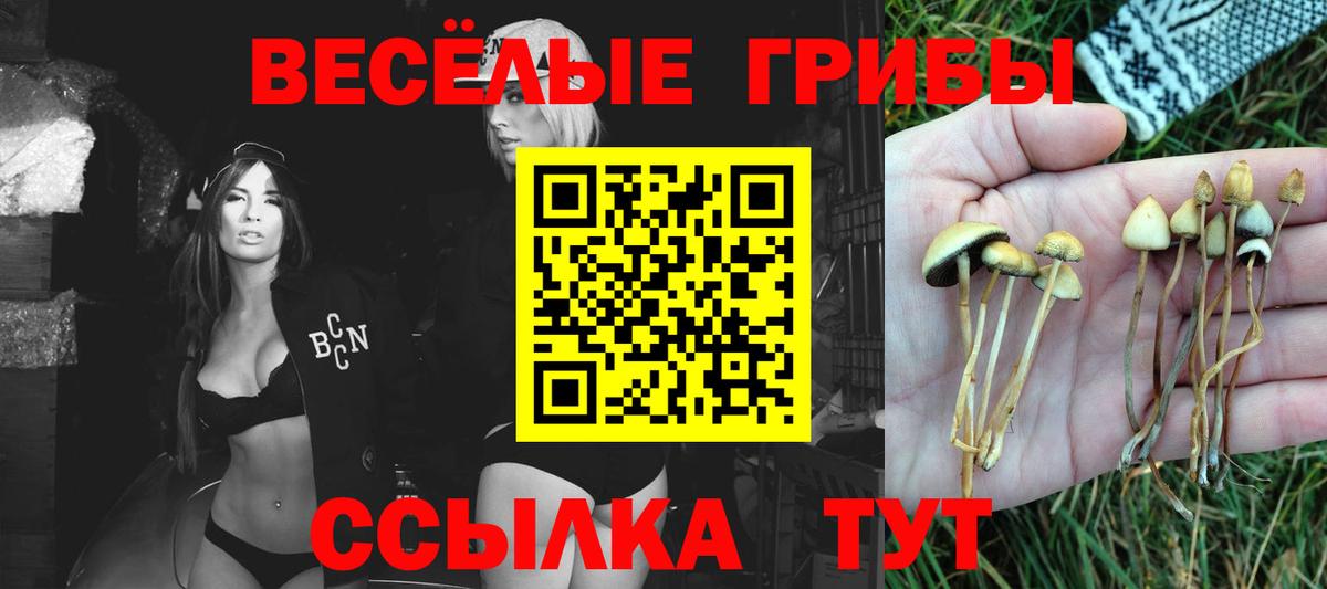 Псилоцибиновые грибы ЛСД Слободской