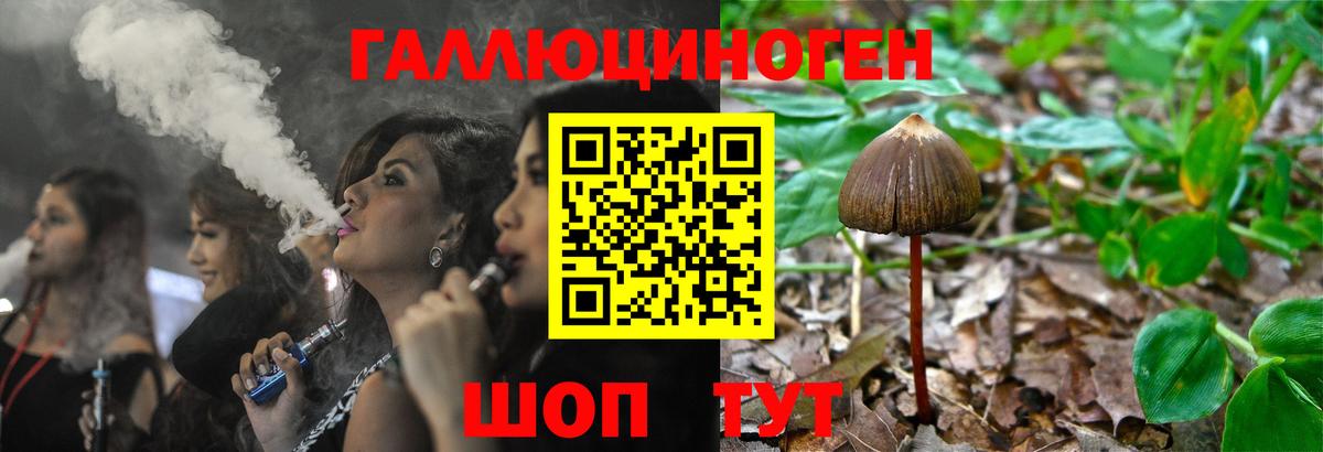 Слободской  Псилоцибиновые грибы Psilocybe  Вход с VPN 
